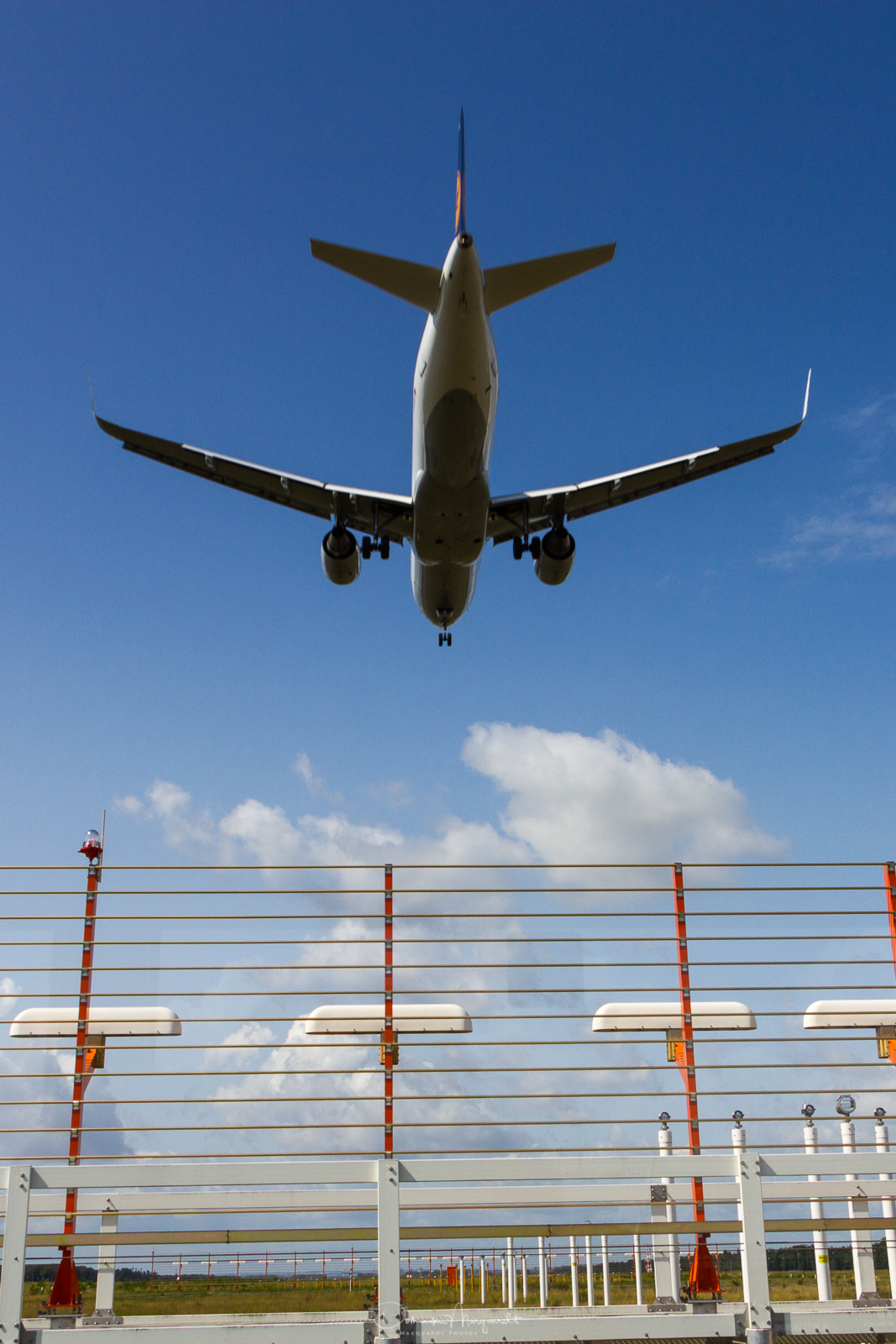 Lufthansa / FRA / EDDF