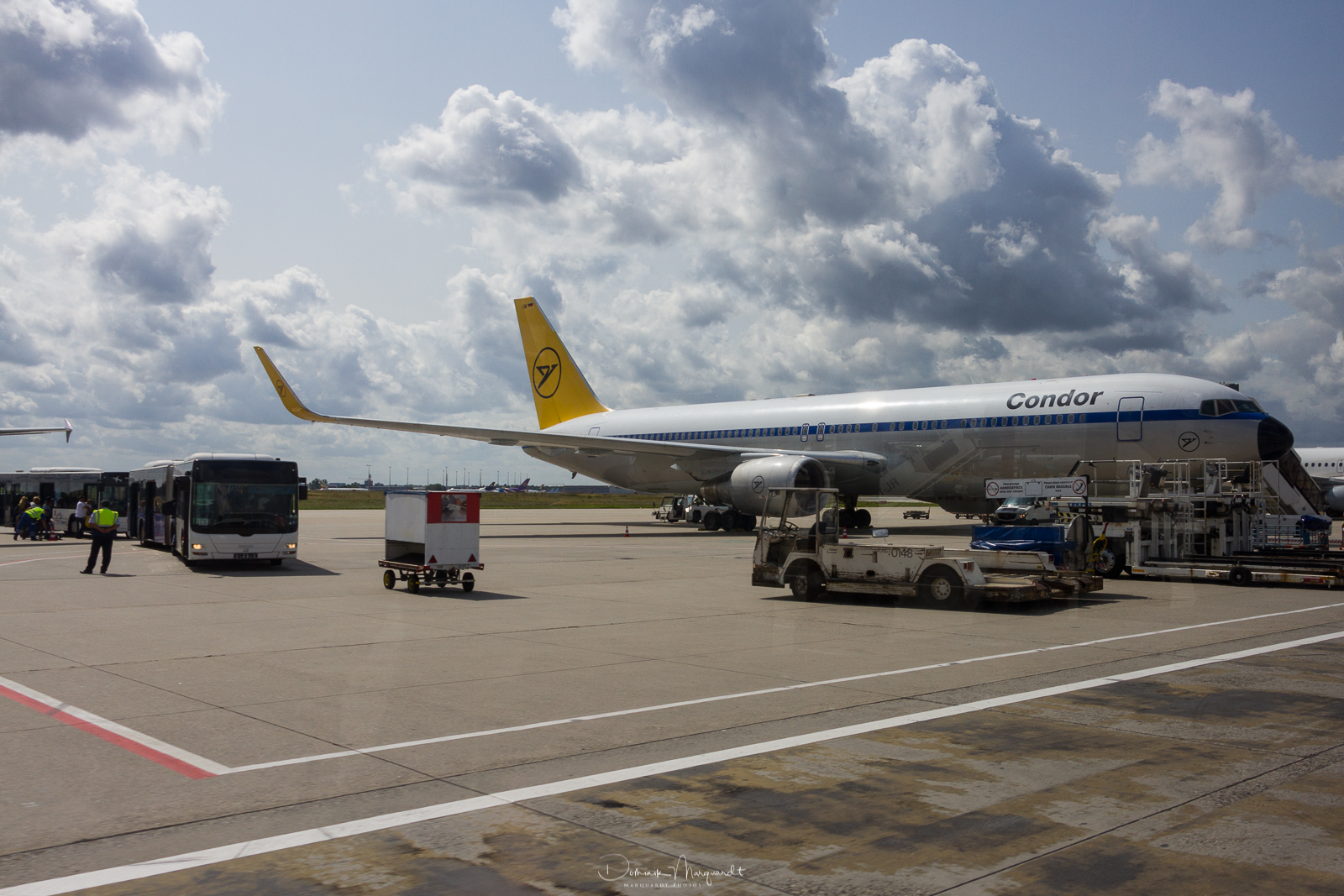 Condor / Boeing 737-31B(ER) / D-ABUM / FRA / EDDF
