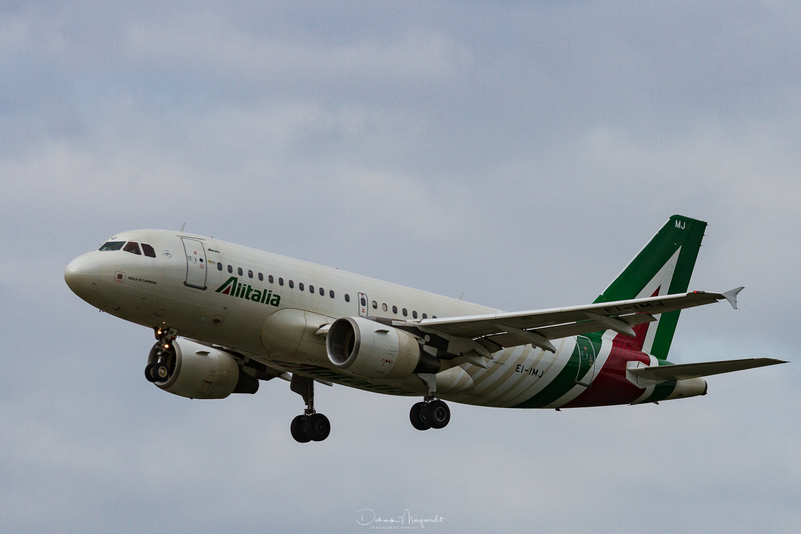Alitalia / Airbus A319-112 / EI-IMJ / FRA / EDDF