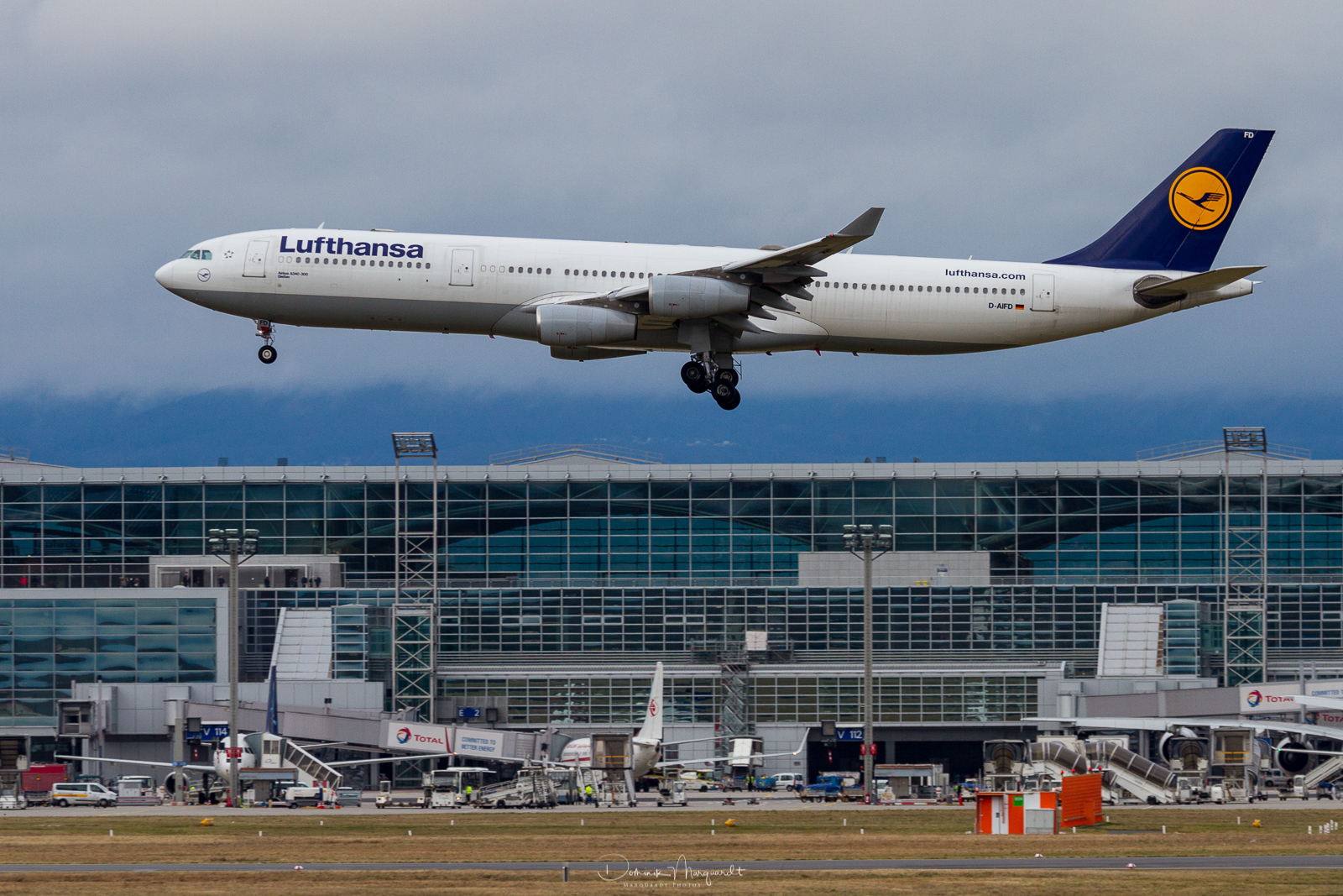 Lufthansa / Airbus A330-343 / D-AIFD / FRA / EDD-F