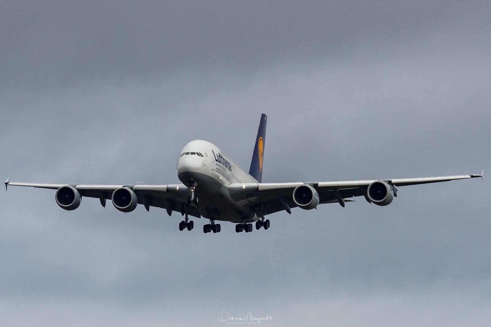 Lufthansa / Airbus A380-841 / D-AIMG / FRA / EDDF