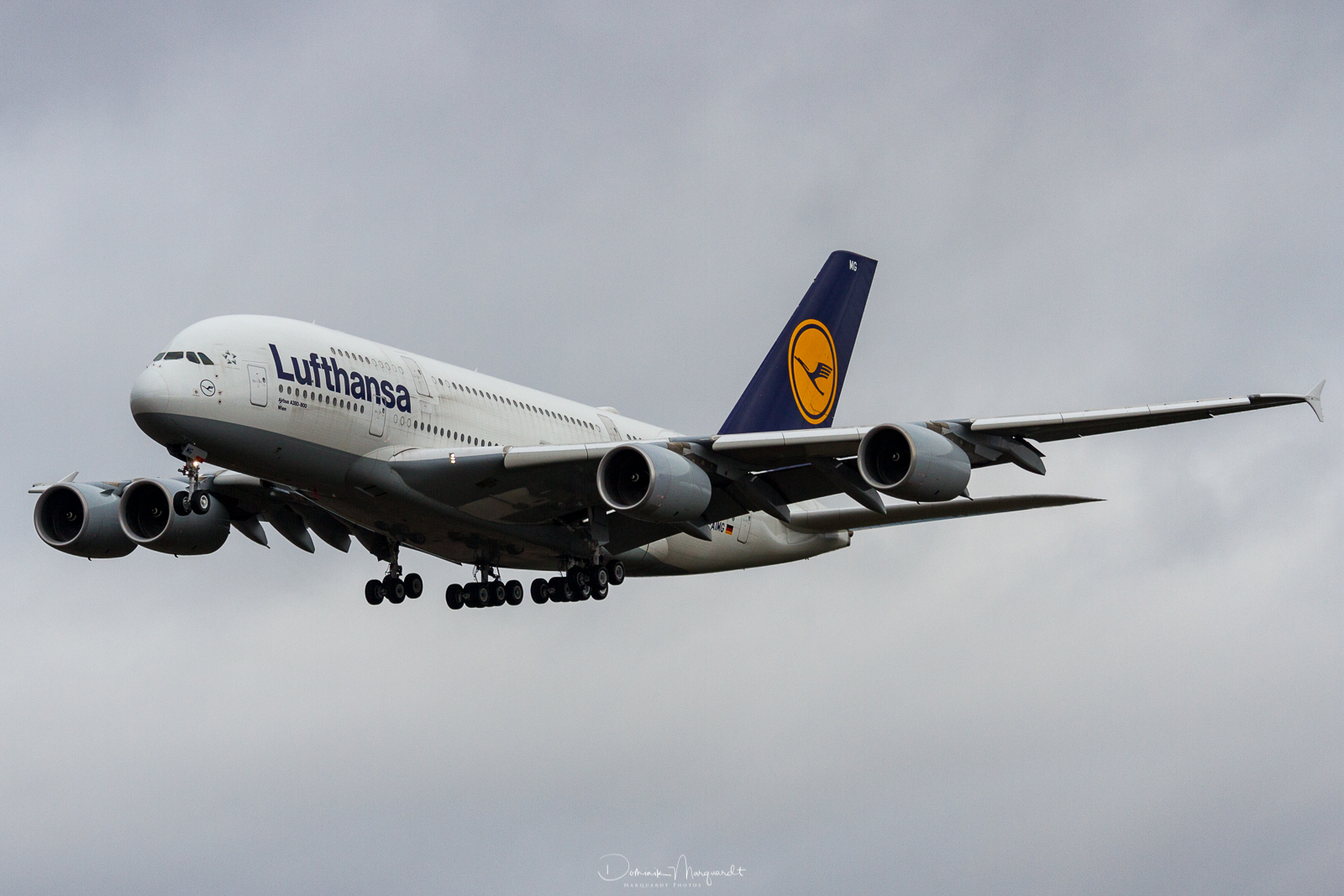Lufthansa / Airbus A380-841 / D-AIMG / FRA / EDDF